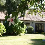 Quinta Do Paco D'anha