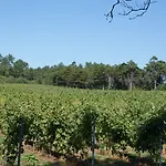 Quinta Do Paco D'anha * Viana do Castelo