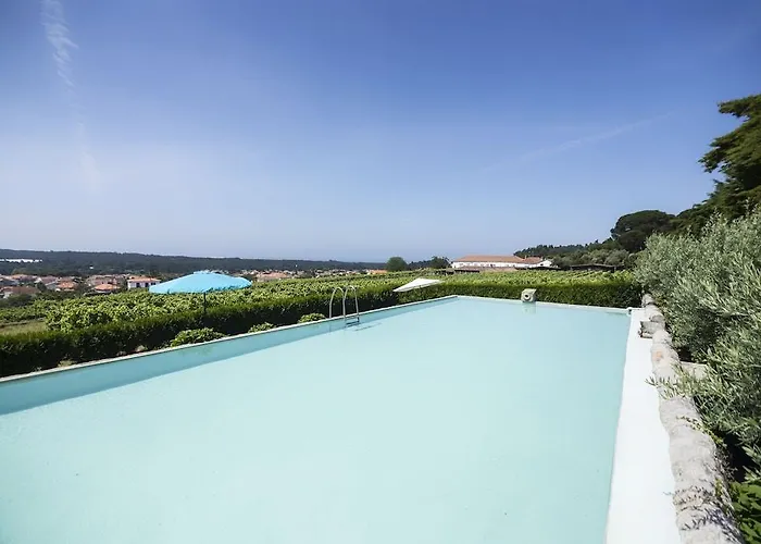 Quinta Do Paco D'anha Gospodarstwo wiejskie