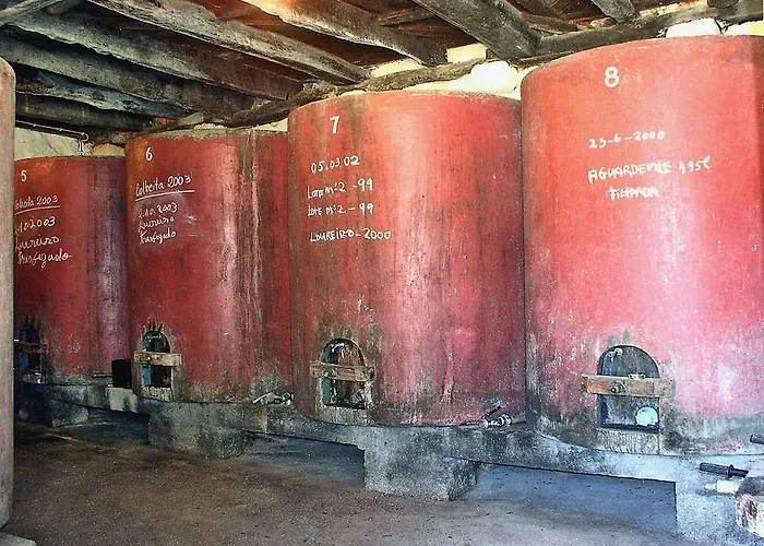 Gospodarstwo wiejskie Quinta Do Paco D'anha