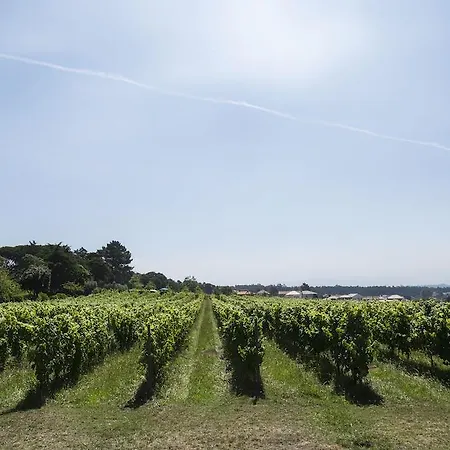 Quinta Do Paco D'anha