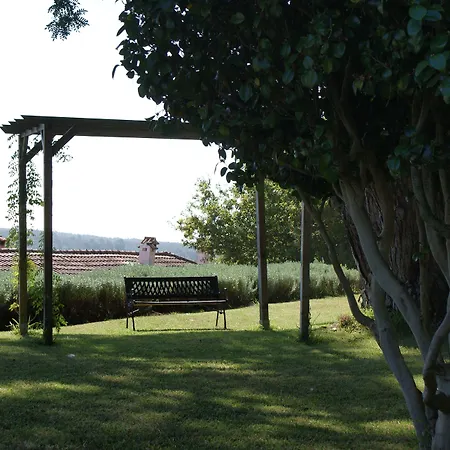 Quinta Do Paco D'anha *