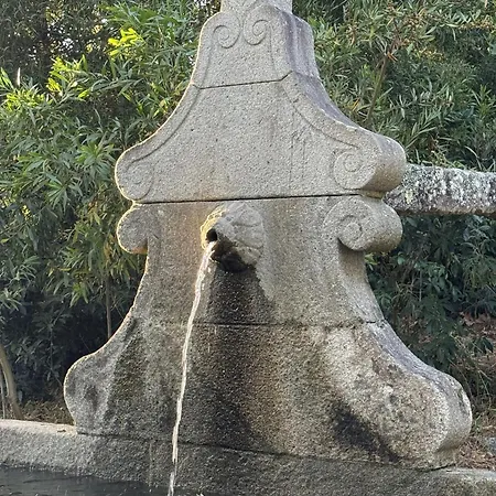 Paco D'anha