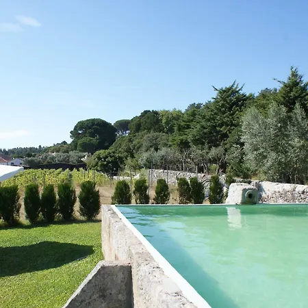 Quinta Do Paco D'anha *