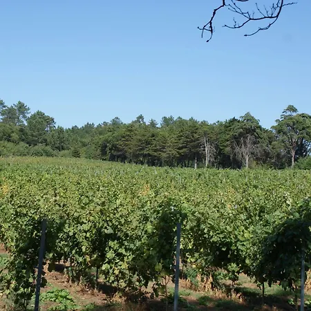 Séjour à la campagne Quinta Do Paco D'anha *