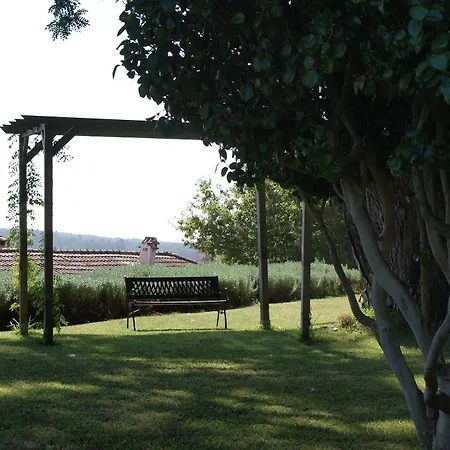 Quinta Do Paco D'anha Casa di campagna *