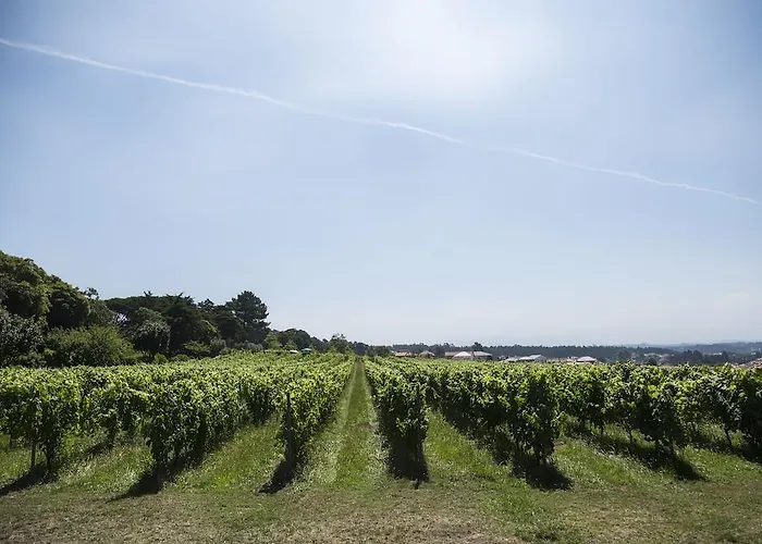 Quinta Do Paco D'anha