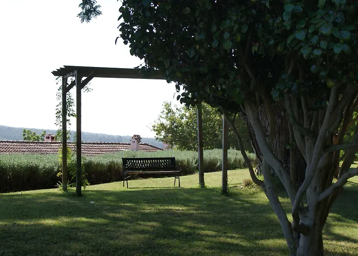 Quinta Do Paco D'anha *